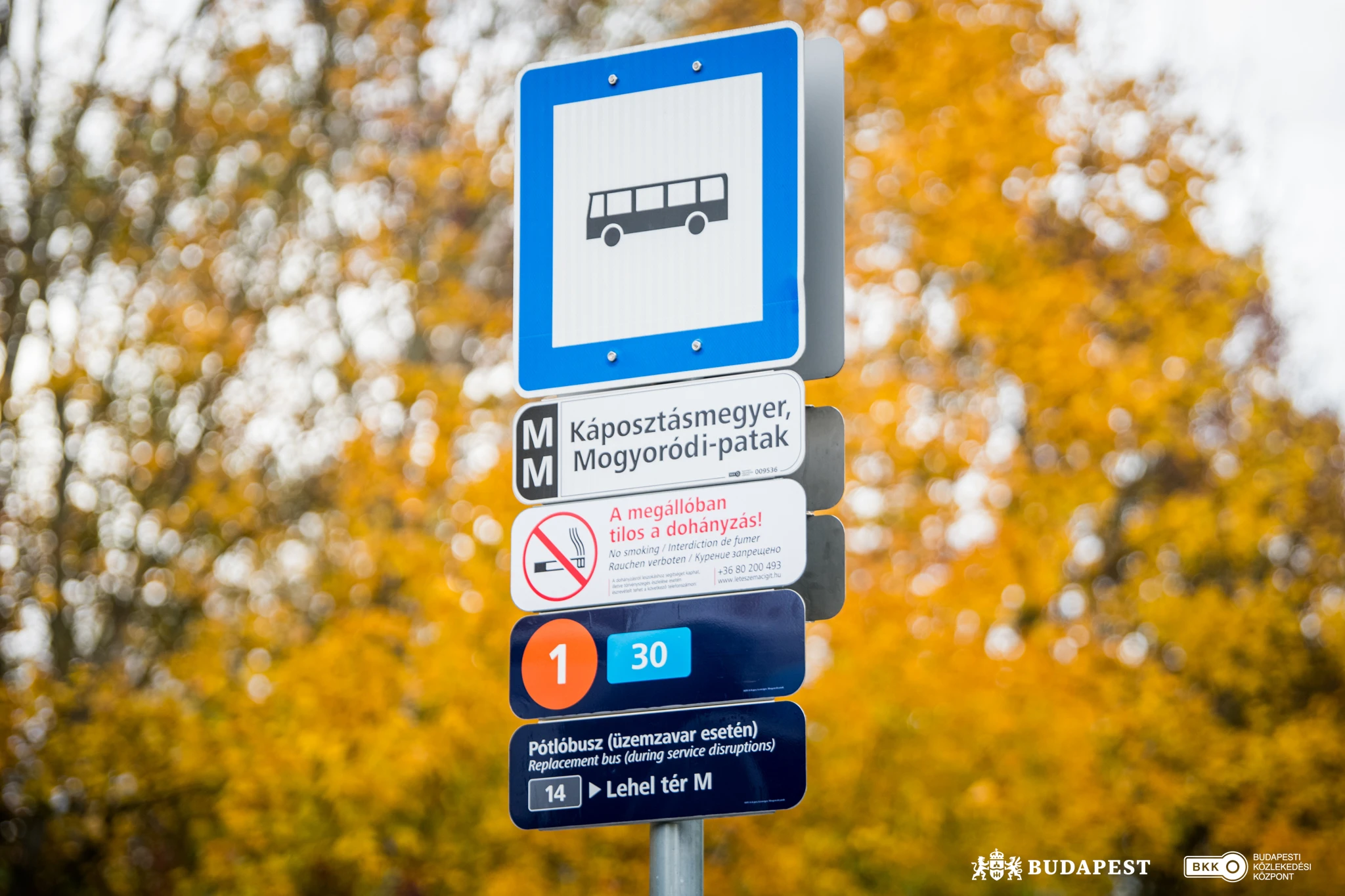 Új megállóhelytáblák