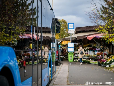 Temetői közlekedés (1)