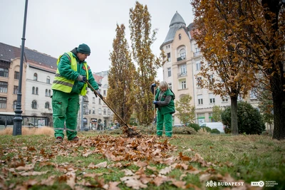 Ennek a képnek nincs leírása.