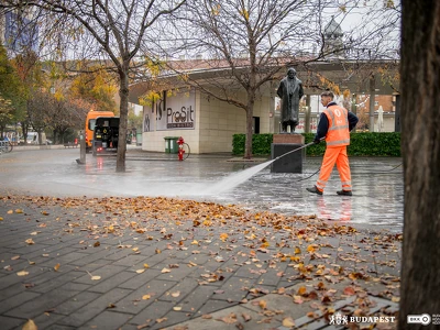 Köztisztasági kezdeményezés_Móricz (7)