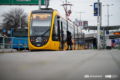 Ennek a képnek nincs leírása.