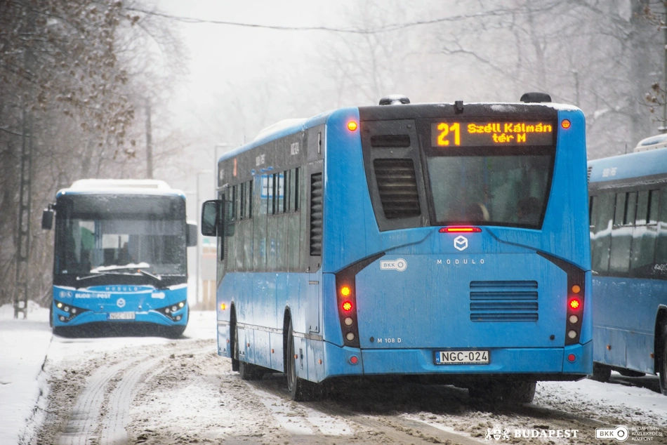 Buszok a Normafánál télen