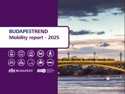 Mobility report - 2025