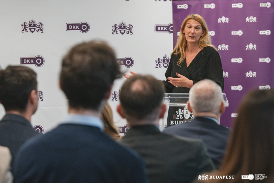 Baranyi Krisztina, Ferencváros polgármestere