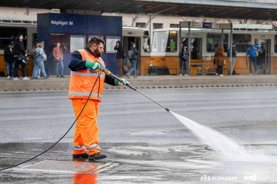 Közös akció a Népligetnél.
