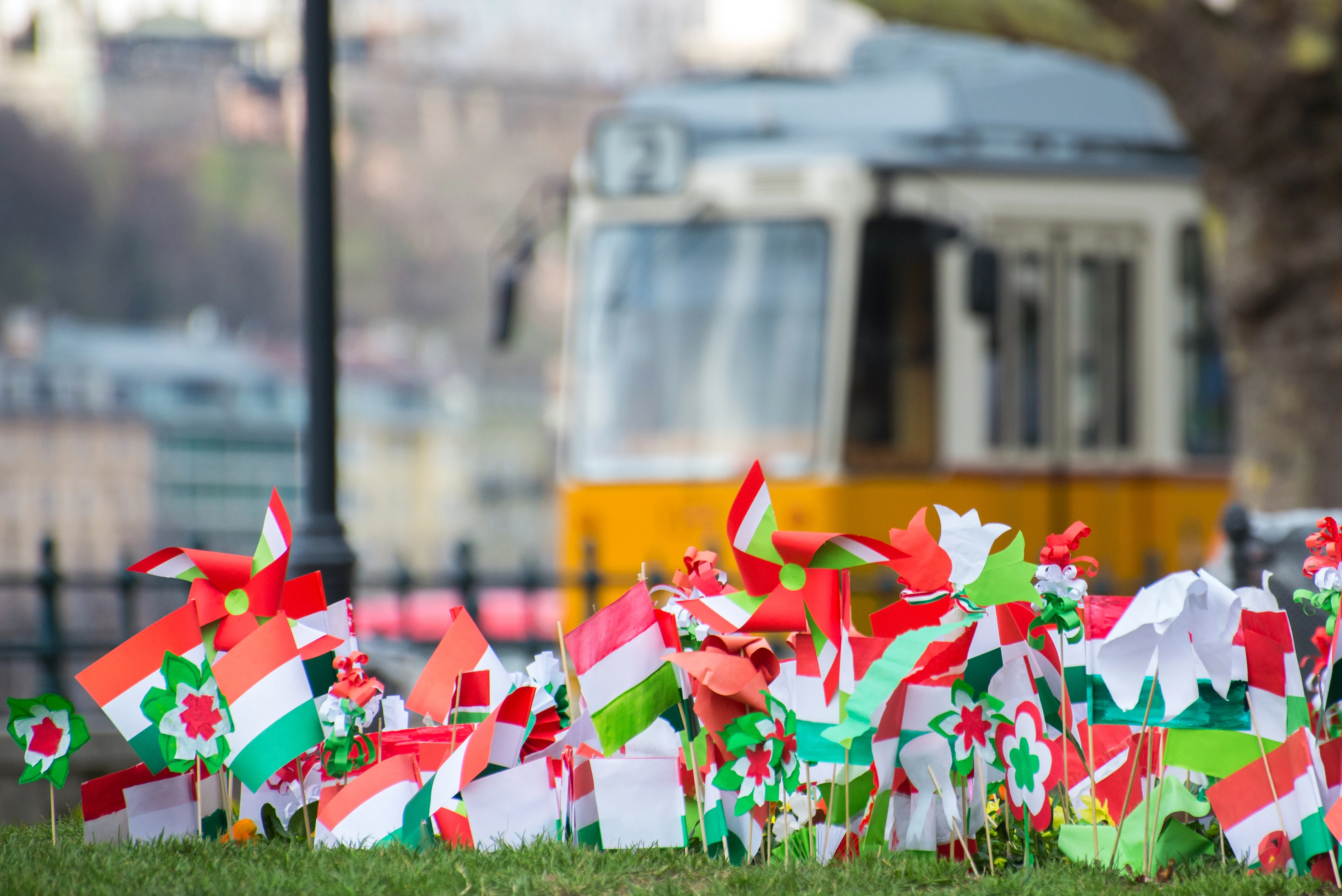 Nemzeti zászlók a 2-es villamos előtt