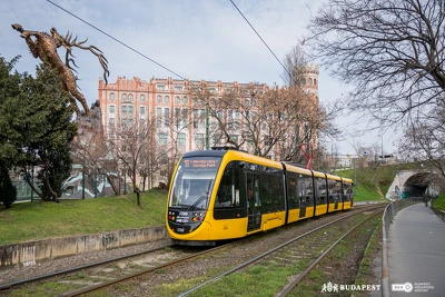 Ennek a képnek nincs leírása.