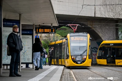 Ennek a képnek nincs leírása.