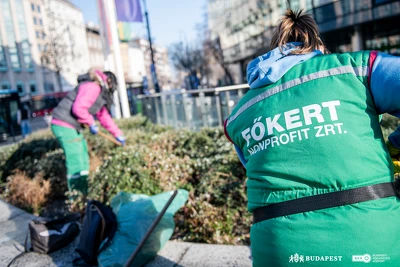 Ennek a képnek nincs leírása.