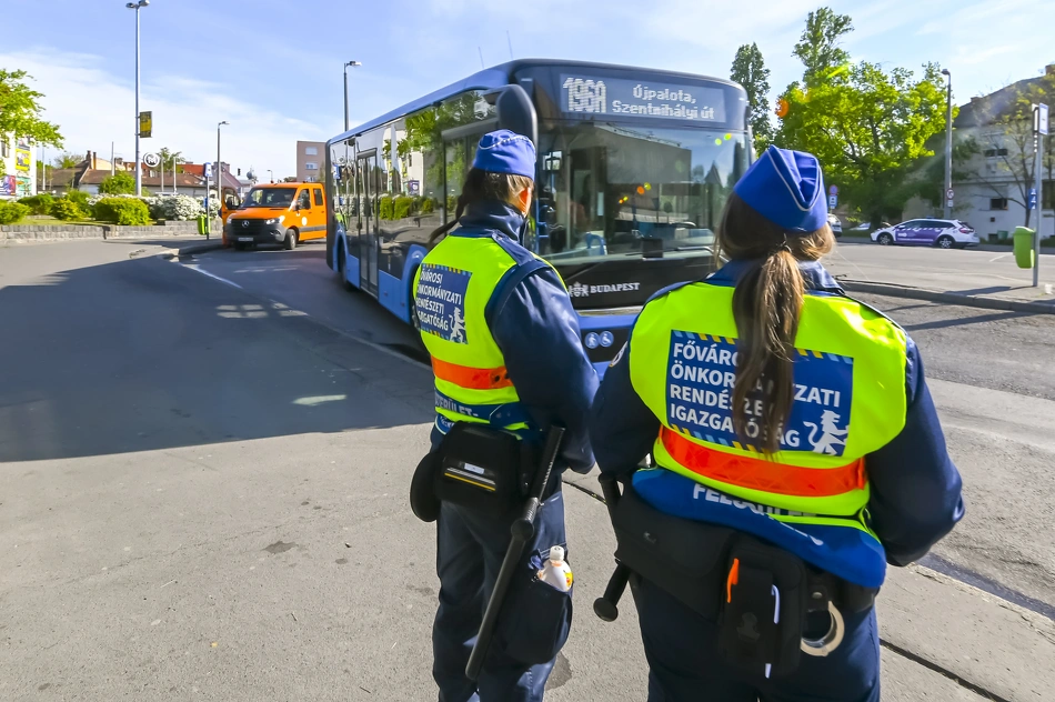 Köztisztasági akció Újpest-városkapunál.