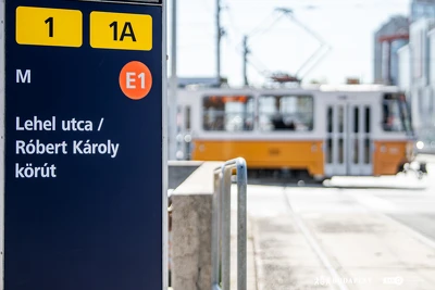 Ennek a képnek nincs leírása.