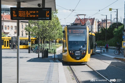 Ennek a képnek nincs leírása.