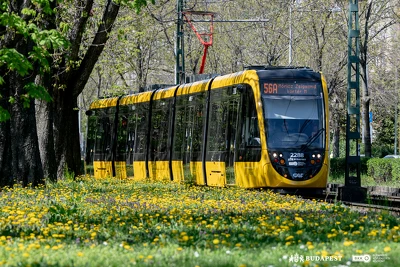 Ennek a képnek nincs leírása.