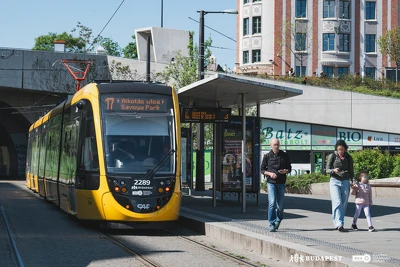 Ennek a képnek nincs leírása.