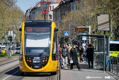 Ennek a képnek nincs leírása.