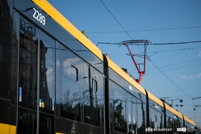 Ennek a képnek nincs leírása.