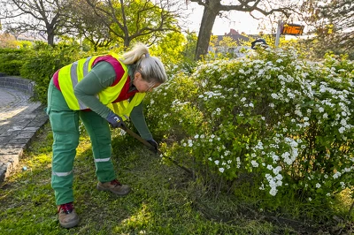 Ennek a képnek nincs leírása.