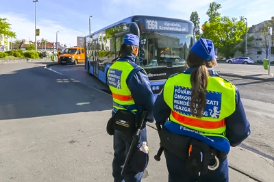 Ennek a képnek nincs leírása.