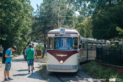 Ennek a képnek nincs leírása.