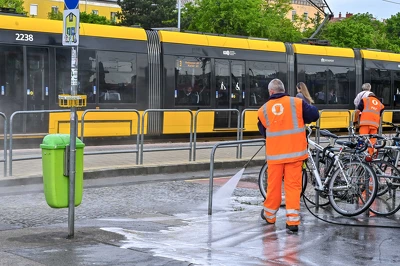 Ennek a képnek nincs leírása.