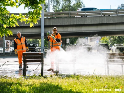 Köztisztasági akció_Göncz Árpád vk (4)