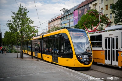 Ennek a képnek nincs leírása.
