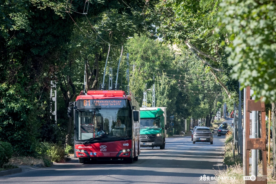 81-es trolibusz