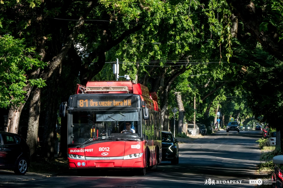 81-es trolibusz