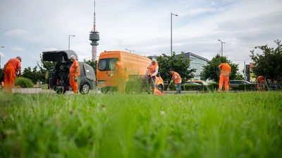 Rend és tisztaság: a Határ út metróállomásnál folytatta összehangolt akcióját partnereivel a BKK