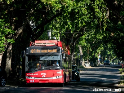 81es trolibusz