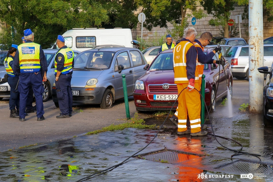 Köztisztasági akció a Mexikói úton